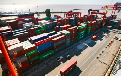 La Justicia autorizó a una empresa a importar sin esperar permiso oficial